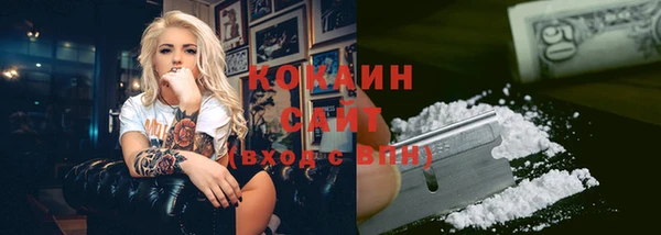 индика Лиски