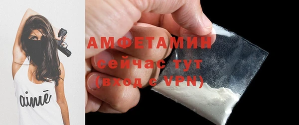 гидра Магас
