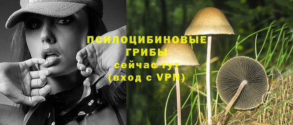 jwh Медвежьегорск