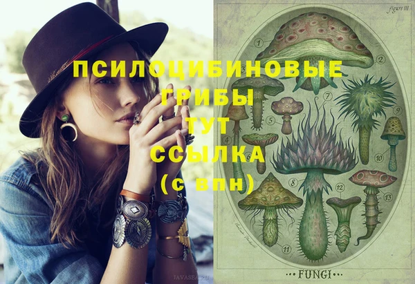соль курить ск Медногорск