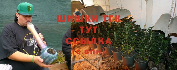 гидра Магас
