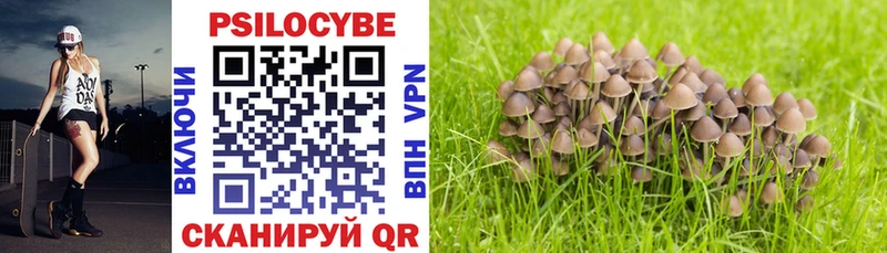 Псилоцибиновые грибы Magic Shrooms  MEGA маркетплейс  Владивосток 