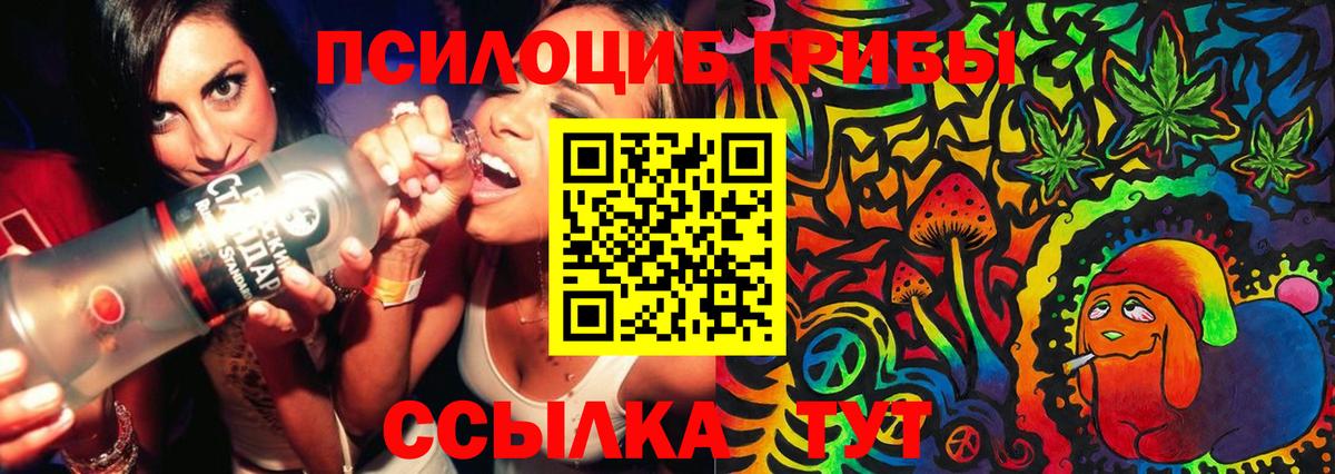 Псилоцибиновые грибы Psilocybine cubensis  сколько стоит  Владивосток 