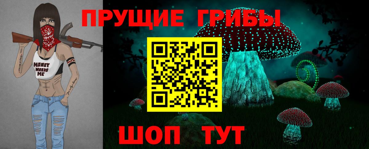 Псилоцибиновые грибы Psilocybine cubensis Владивосток